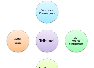 Les juridictions civiles