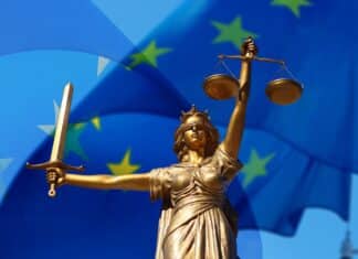 Les sources internationales du Droit Social Les décisions européennes sont une des sources du droit international en France.