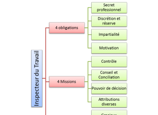 Inspecteur du travail : Obligations, missions et voies de recours Inspecteur du travail - Obligations, missions et voies de recours