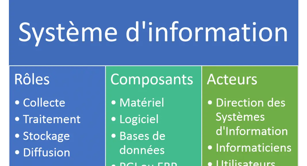 Le système d'information : rôles, composants et acteurs