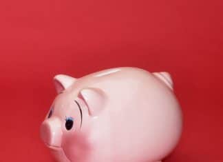 Formes et déterminants de l’épargne L'épargne, le pendant de la consommation...