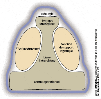 Les 6 parties de l'organisation