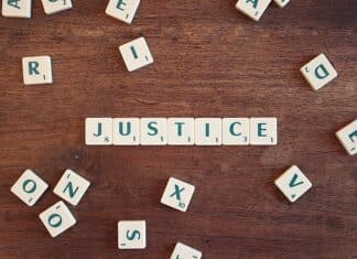 L’organisation judiciaire – Principes généraux