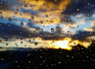 La vie reprendra son cours… La vie est belle même lorsque le temps est mauvais