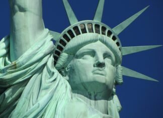 La reconnaissance des libertés par le droit constitutionnel