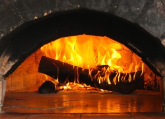 La biomasse : une alternative verte durable aux énergies fossiles ?