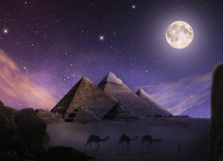 Historique de l’énergie musculaire, source primitive d’énergie