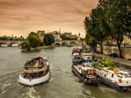JO Paris 2024 : le budget pour la Seine boit la tasse La Seine sera-t-elle propre pour le jour J ?