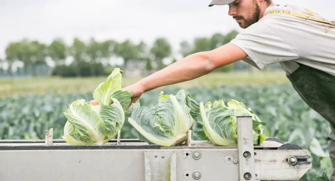 Devez-vous investir dans un équipement neuf et onéreux ou plutôt opter pour une machine d'occasion ?